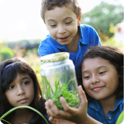 kidswithbugs rounded